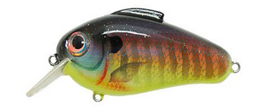 Bill Lewis Echo Squarebill
