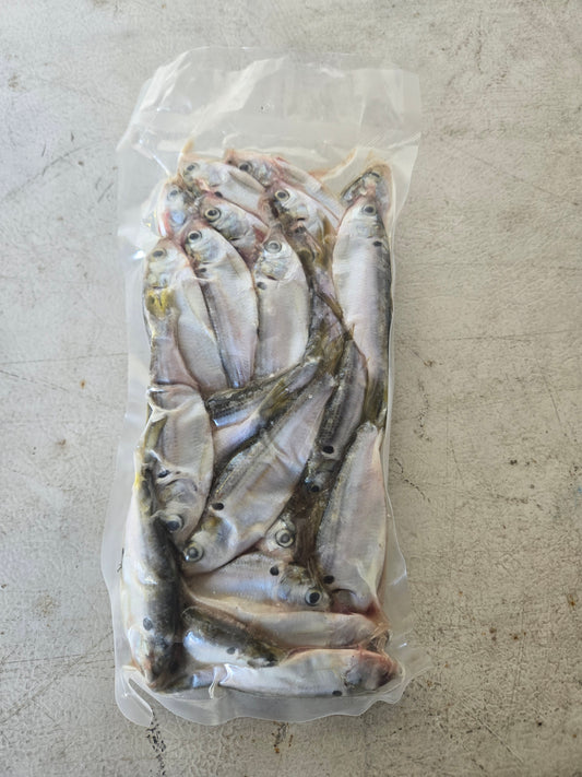 National Tackle Frozen Baits