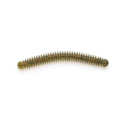 Lake Fork Lure Co. Ring Fry