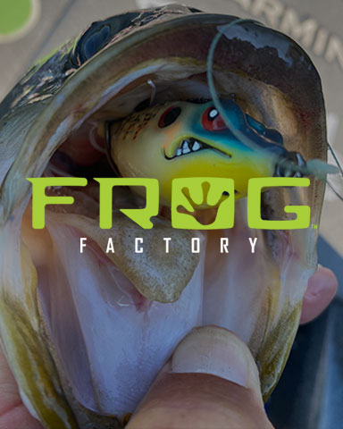 Frog Factory