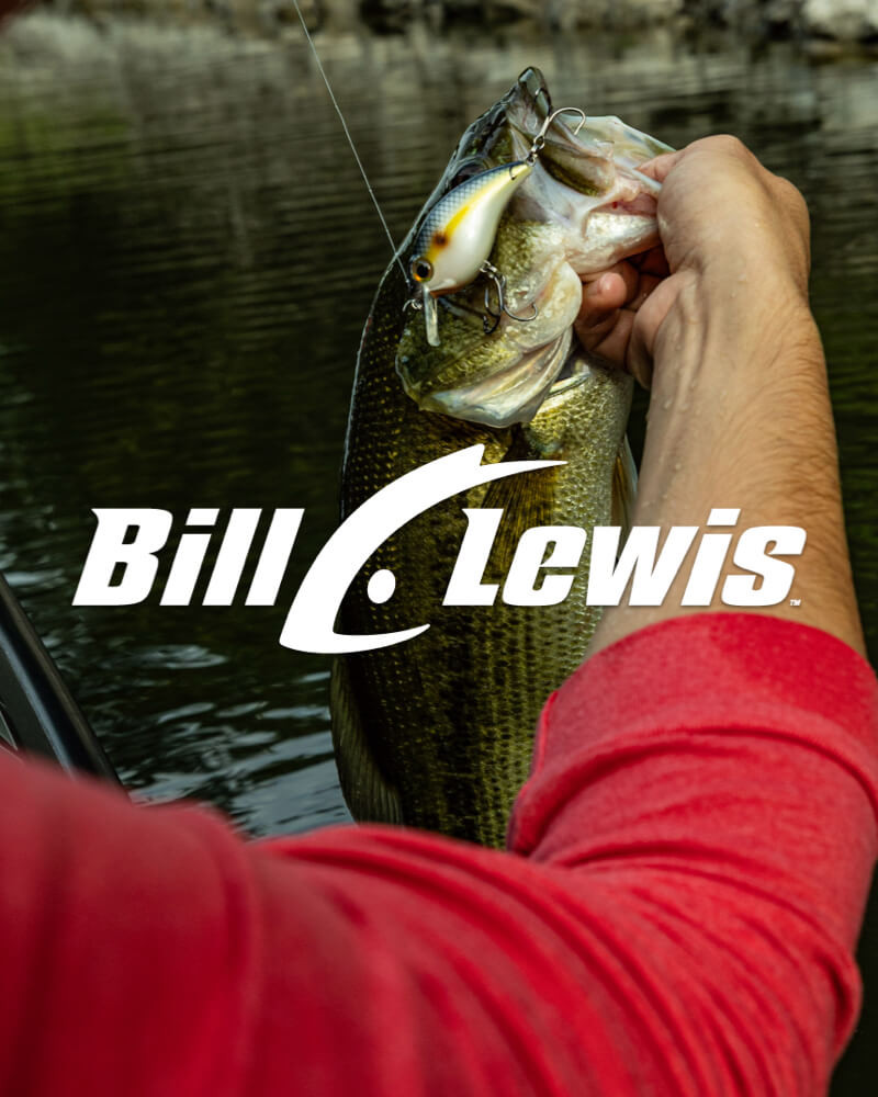 Bill Lewis