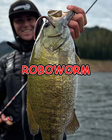 Roboworm