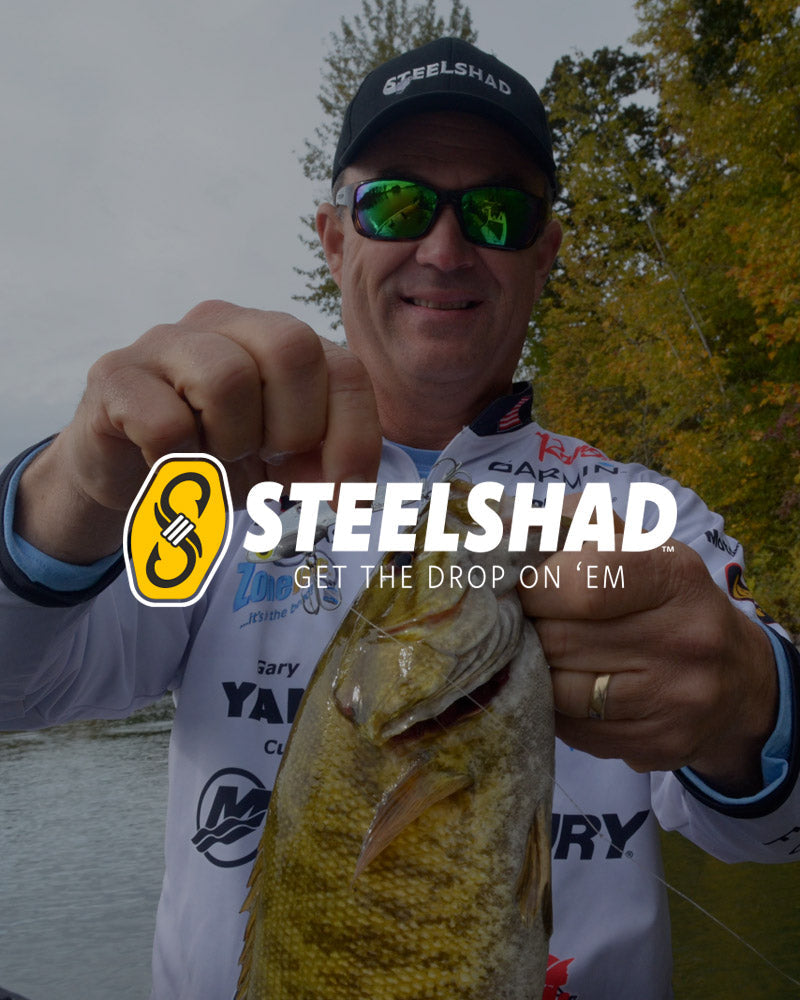 Steelshad