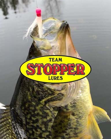 Stopper Lures