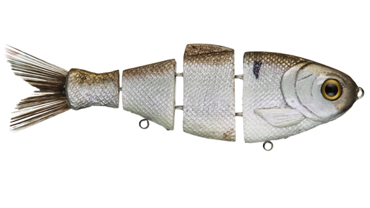 BULL SHAD SLOW SINK