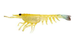 Nomad Design Switcher Shrimp