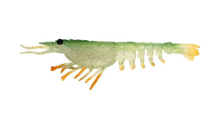 Nomad Design Switcher Shrimp