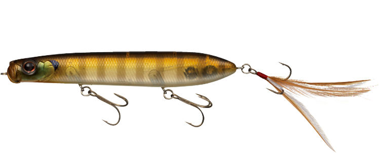 EVERGREEN SB TOPWATER