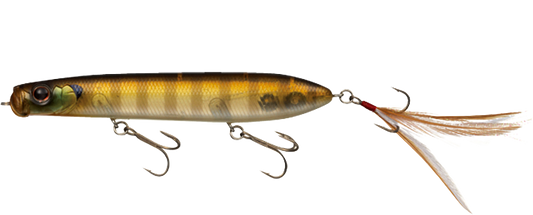 EVERGREEN SB TOPWATER