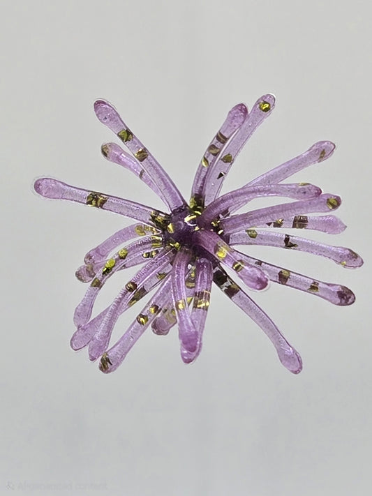 Wasteland Baits Crappie Urchins